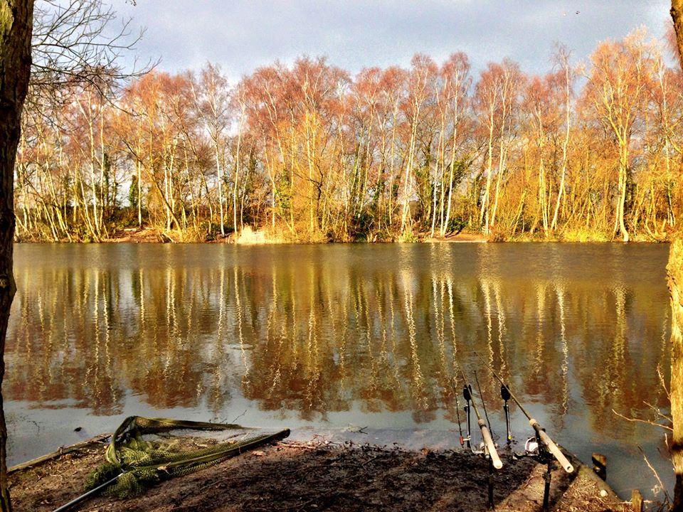 ::::::::LIKE:::::::: - 1012753540826472619792133867633n.jpg